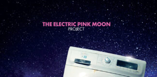 The Electric Pink Moon Project: disco che riscopre la musica di Nick Drake in chiave rock