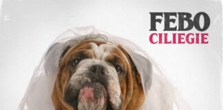 “Ciliegie” è il nuovo singolo di Febo in radio e in digital download