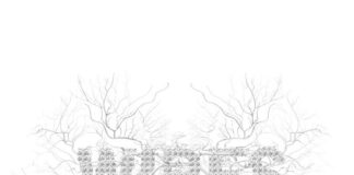 Random Clockwork: esce il debut-album “Wires”