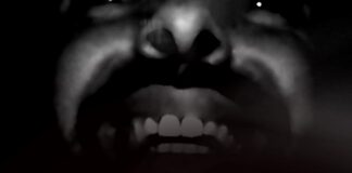 “Looking For The Man”: il nuovo album digitale di Selfishadows