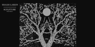 Shaam Larein: “Sculpture” è il nuovo oscuro ed emozionale album