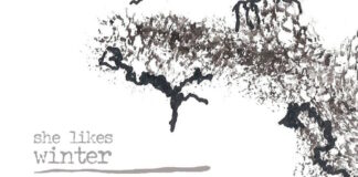 “Bruises” è il nuovo singolo degli She Likes Winter