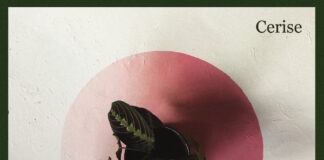 I The Mills rilasciano il debut album “Cerise”