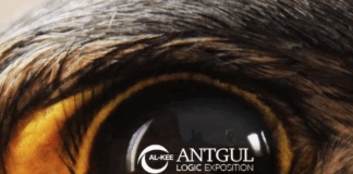 Antgul esce con un nuovo EP dal titolo “Logic exposition”