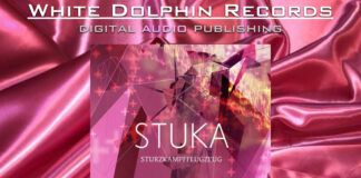 “Sturzkampfflugzeug”: il singolo post-industrial degli Stuka é online