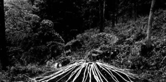 NITRITONO: fuori il loro nuovo lavoro “Eremo”