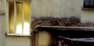 Marasma Gandhi: fuori il primo album del nuovo progetto solista dell’ex Gronge Marco Bedini