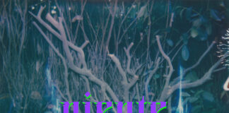 BRUJAS: esce il primo singolo del nuovo progetto in duo di Francesca Palamidessi e Francesco De Palma