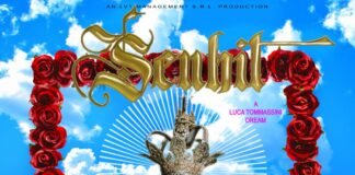 Fuori la cover di “Amar Pelos Dois” di SENHIT ft. Jordi Galán