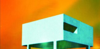 PINHDAR: in uscita il nuovo singolo”Too Late (a big wave)”