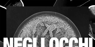 “Negli occhi”: il nuovo singolo di Seb Puggioni
