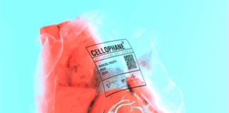 In rotazione radiofonica “CELLOPHANE”: il nuovo singolo di Manuel Finotti feat. Zoda