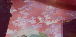 SVEVO SUSA: in uscita il nuovo singolo “Immagine o rumore”