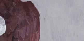 “I paesaggi di Böcklin”: il nuovo singolo di Chris Yan