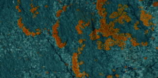 “PARTICLES” è il nuovo album di MARIO BERLINGUER