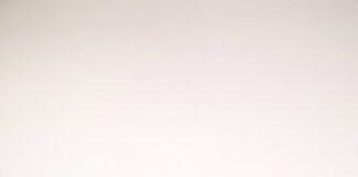 “NOT UP FOR DISCUSSION” ft. Laura Lee: il nuovo singolo di NIIA