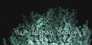 “The Necessary Beauty” è il nuovo singolo di Hesanobody
