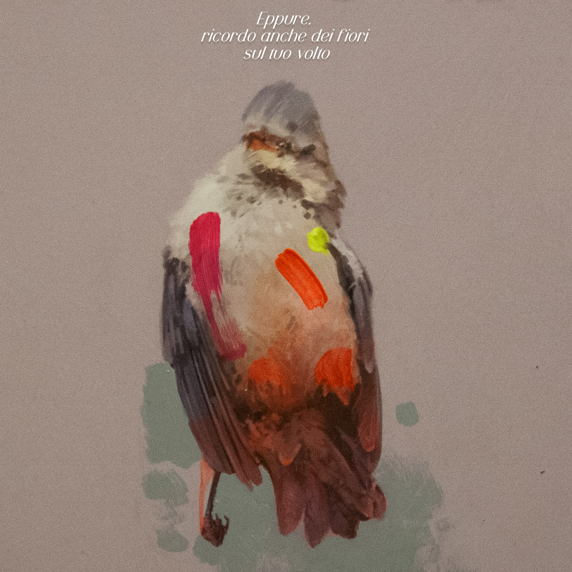 “Eppure, ricordo anche dei fiori sul tuo volto”: il nuovo singolo di Chris Yan