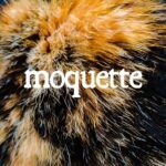 “MOQUETTE” è il singolo d’esordio de GLI IMBUCATI ALLA FESTA