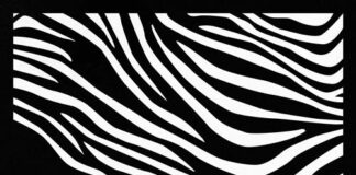 In rotazione radiofonica e su tutte le piattaforme il nuovo singolo di F.U.L.A “TOUTY”