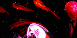 YLYNE pubblica il nuovo album “ODD DANCE MUSIC”