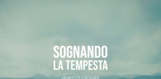 FRANCESCO CERCHIARO: fuori il nuovo singolo “SOGNANDO LA TEMPESTA”