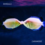 Boreale: in digitale e in radio “Caramore”