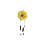 Piqued Jacks: fuori il nuovo singolo e video “Sunflower”