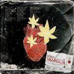 “VANIGLIA” è il nuovo singolo di SPERA feat. Paoluzi