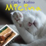 Carlo Audino: fuori il nuovo singolo “Micina”