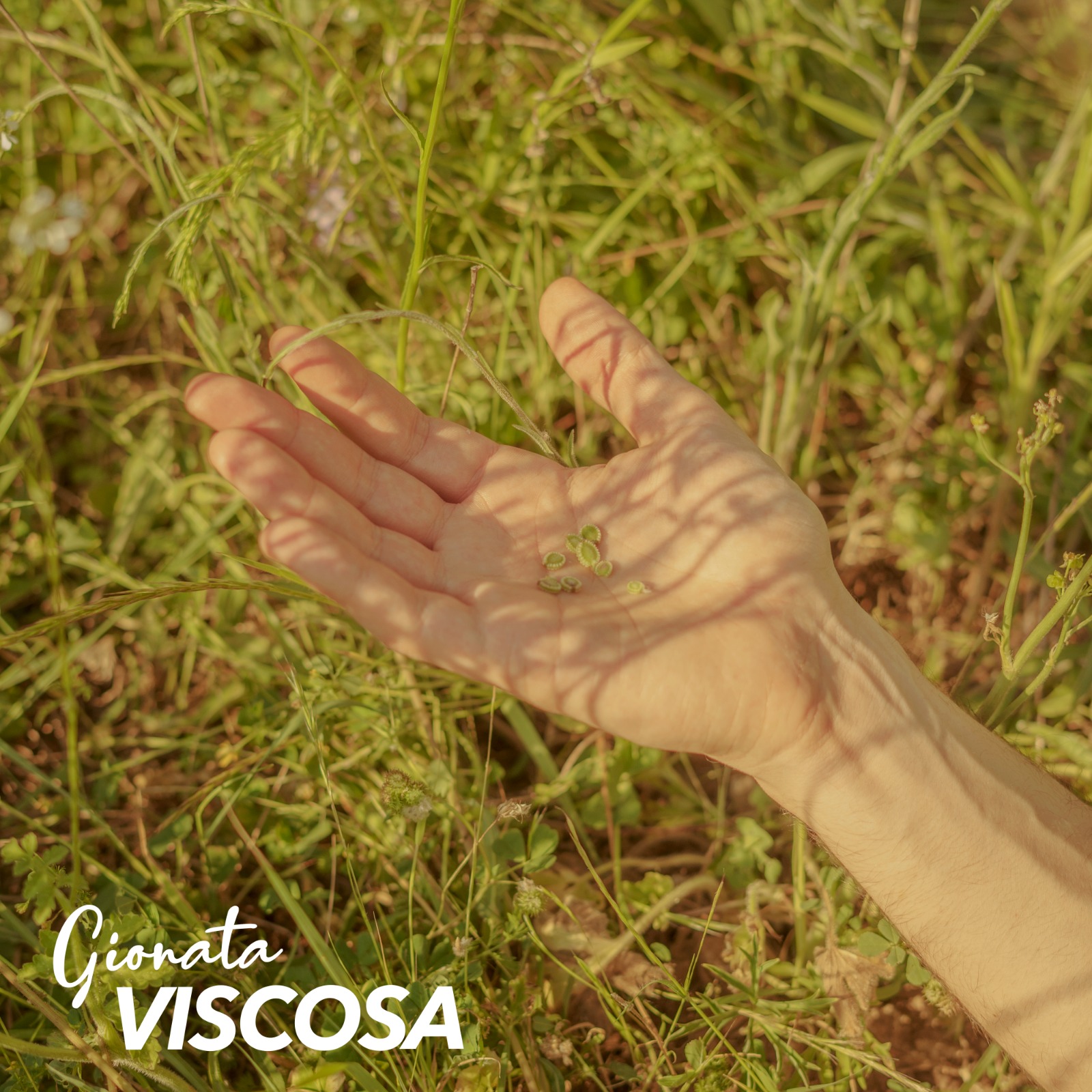 “Viscosa”: il nuovo singolo di GIONATA