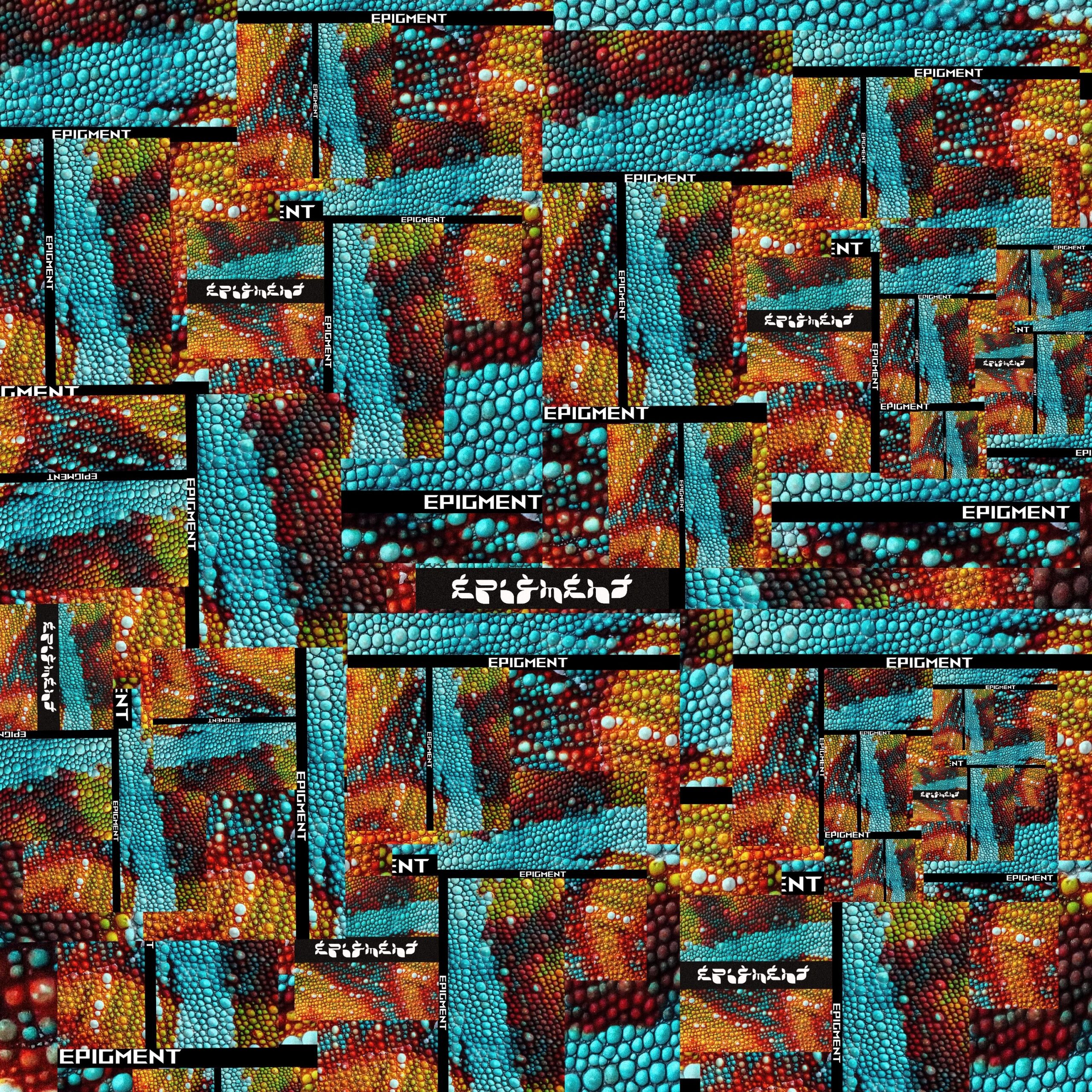 “EPIGMENT” è il primo EP di MR. FA & RAMINGO