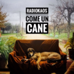 “COME UN CANE”: il nuovo singolo dei RADIOKAOS