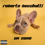 Fuori il nuovo singolo di Roberto Bocchetti “Un cane”