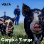 Virga presenta il videoclip di ”Gorgo & Tango”