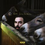“Dovrei dire la mia”: fuori il nuovo EP di N.A.I.P.