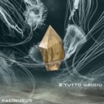 “È TUTTO GRIGIO” è il nuovo singolo dei PALINURUS