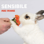 “SENSIBILE” è il nuovo album di MIKE ORANGE