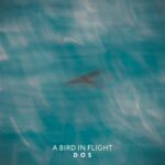 “A bird in flight” è il nuovo singolo di DOS Duo Onirico Sonoro