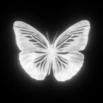 Fuera: “Mariposa” è il nuovo singolo