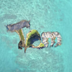 “Isola di Tam (Tempo per me)” anticipa il nuovo album di Tommaso Tam