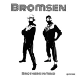 I Bromsen pubblicano il nuovo album “Brothers in Mind”