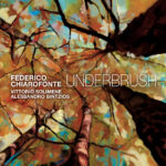 “Underbrush”: il primo album di Federico Chiarofonte