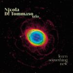 “Learn something news”: l’ultimo disco di Nicola di Tommaso