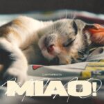Cartapesta pubblica il nuovo singolo dal titolo “Miao!”
