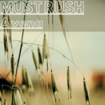 “Avena”: il nuovo singolo di Must Rush