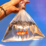 Nyno: “Musica Di Plastica” è il nuovo singolo