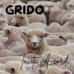 “Grido”: l’ultimo singolo dei Taciti Accordi