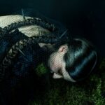 PENELOPE TRAPPES pubblica il primo singolo