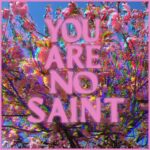 “You Are No Saint”: il nuovo singolo degli Used To Be Apes
